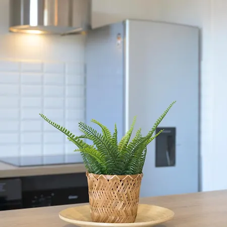 Design Avec Vue