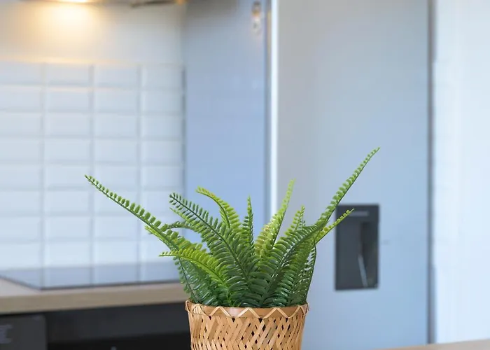 Design Avec Vue